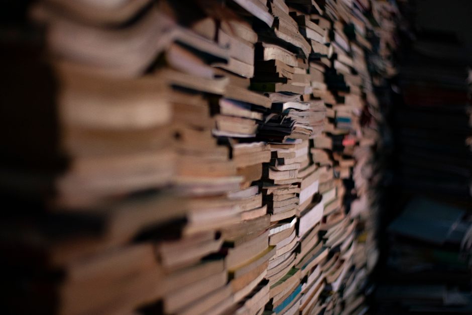 Common problems when book rubbish collection in Lewisham