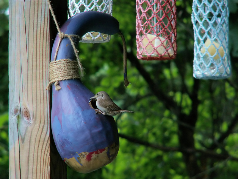 Optimizing Hard Rubbish Disposal for Efficiency